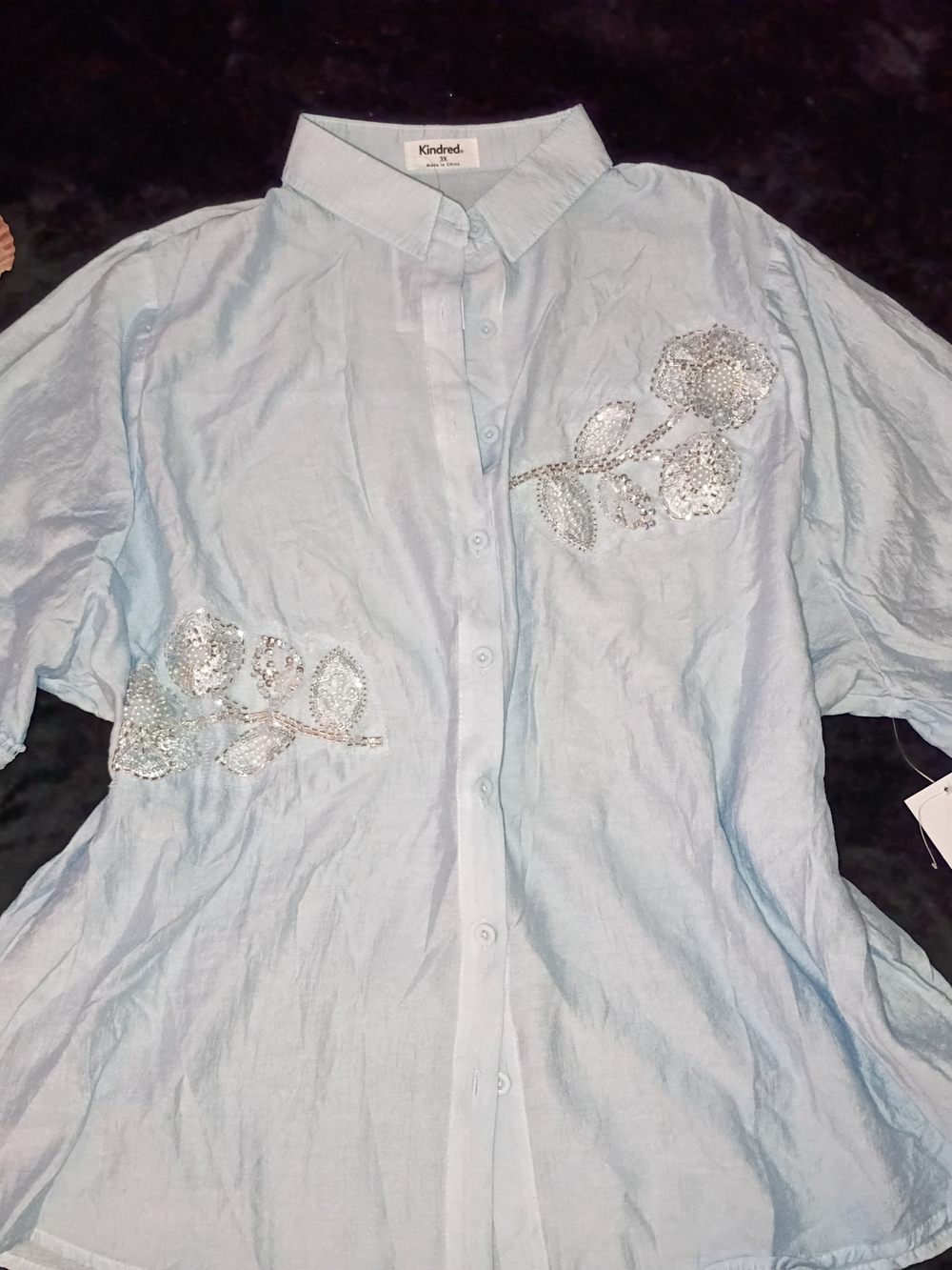 Kindred Light Blue Embellished Floral Button-Up Blouse